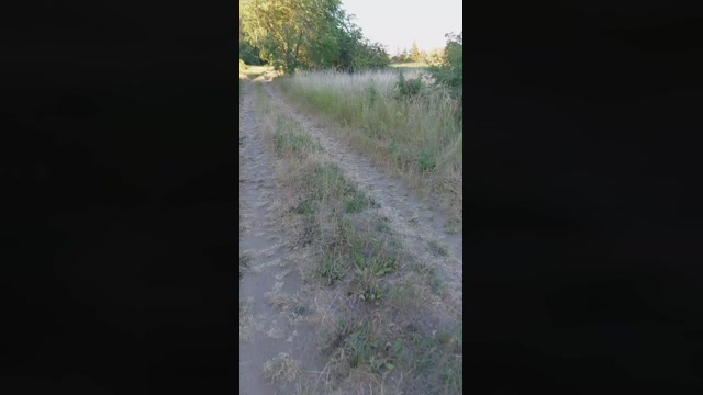 redline_xxx  21-06-2022